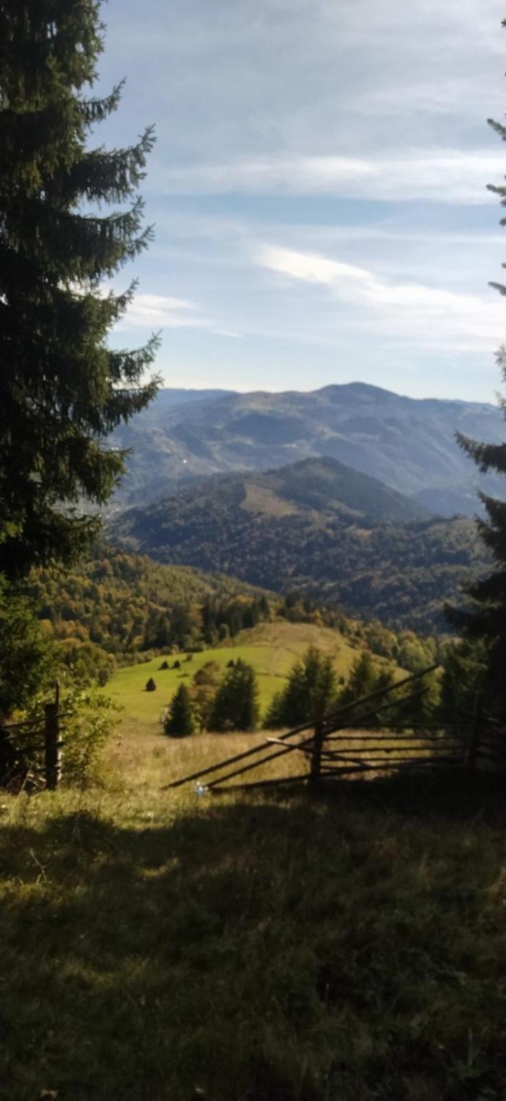 Вилла Анничка Khorotseve Экстерьер фото