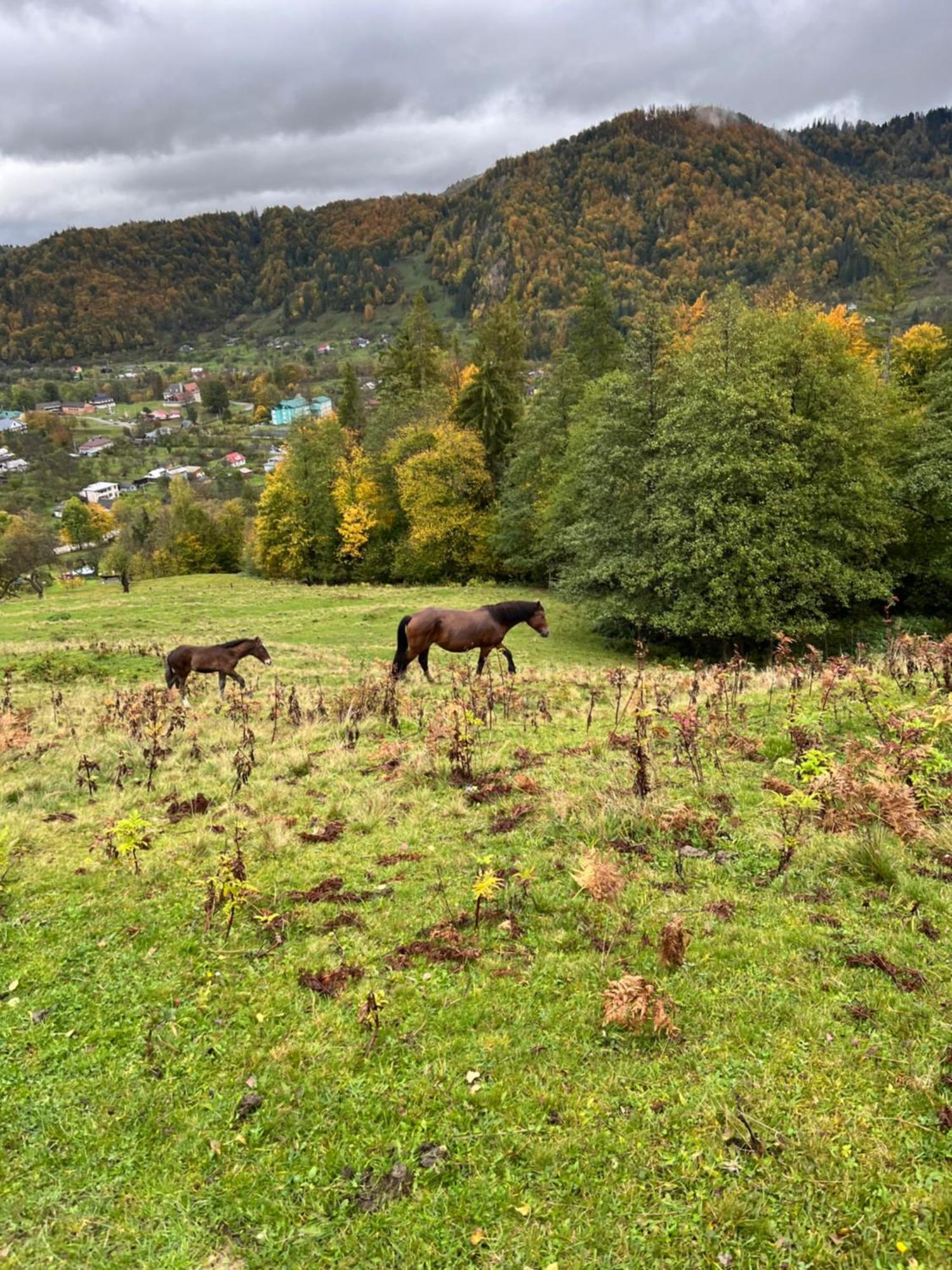 Вилла Анничка Khorotseve Экстерьер фото